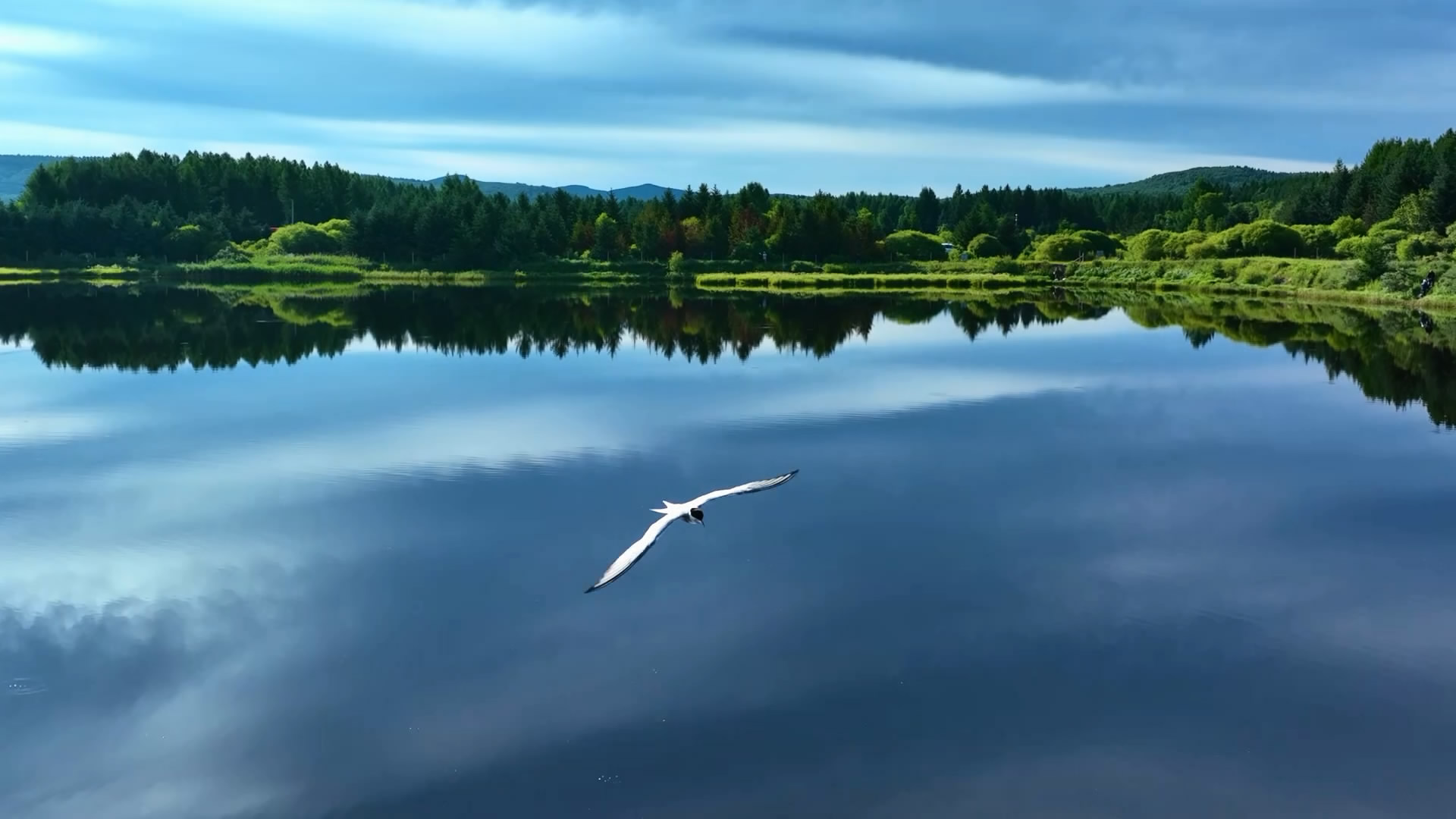 ysptest-03-Majestic Highland Saihanba